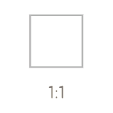 1:1